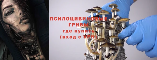 амф Богородск