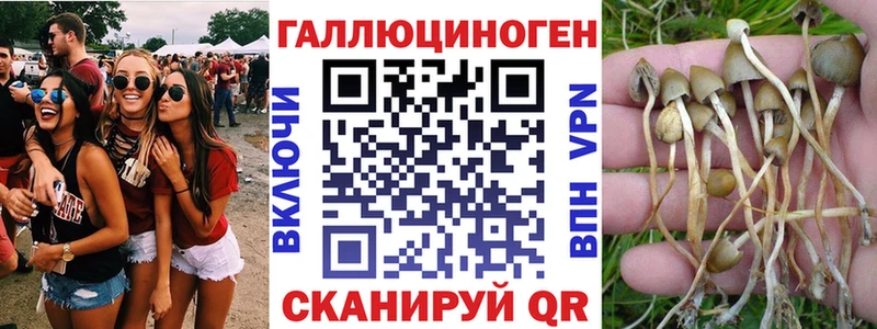 Псилоцибиновые грибы прущие грибы что такое наркотик Мирный